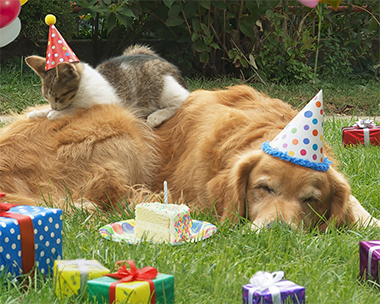Birthday